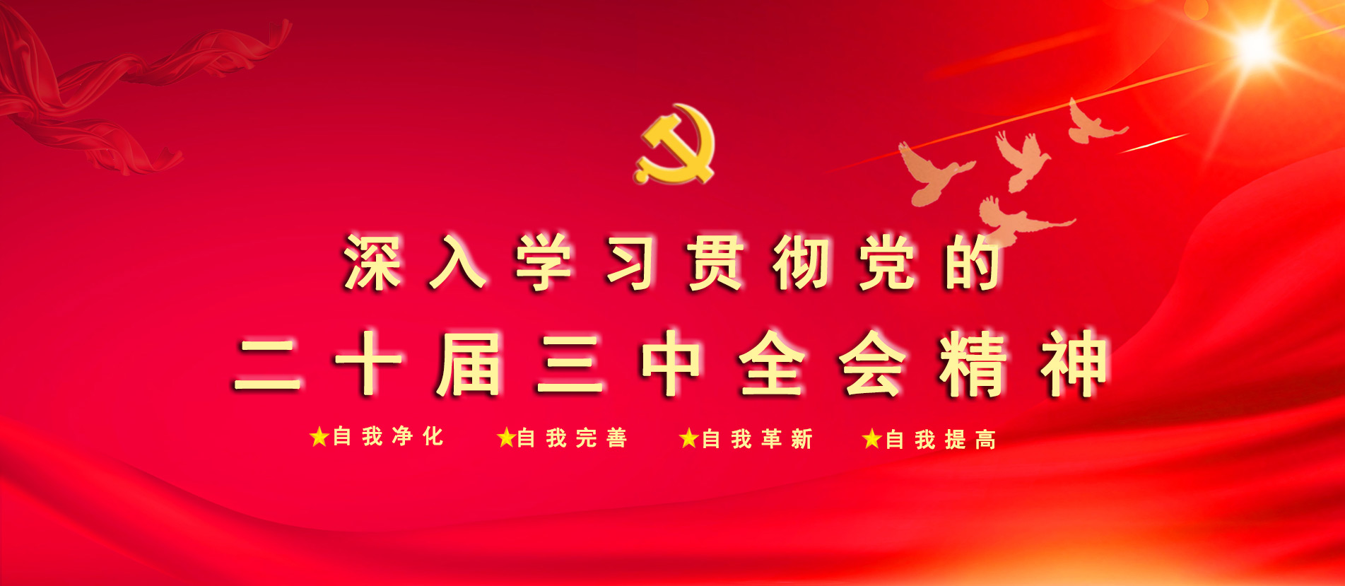 深入学习贯彻党的二十届三中全会精神